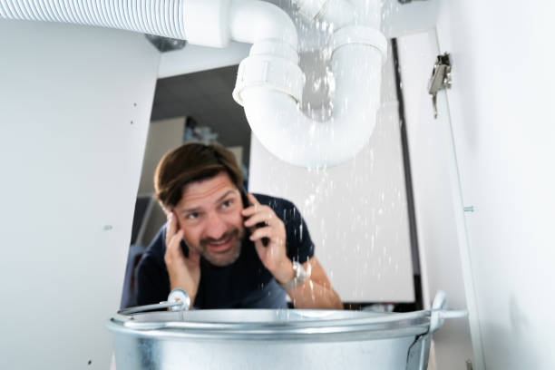 Best Clogged Drain Plumber  in Fairbury, NE